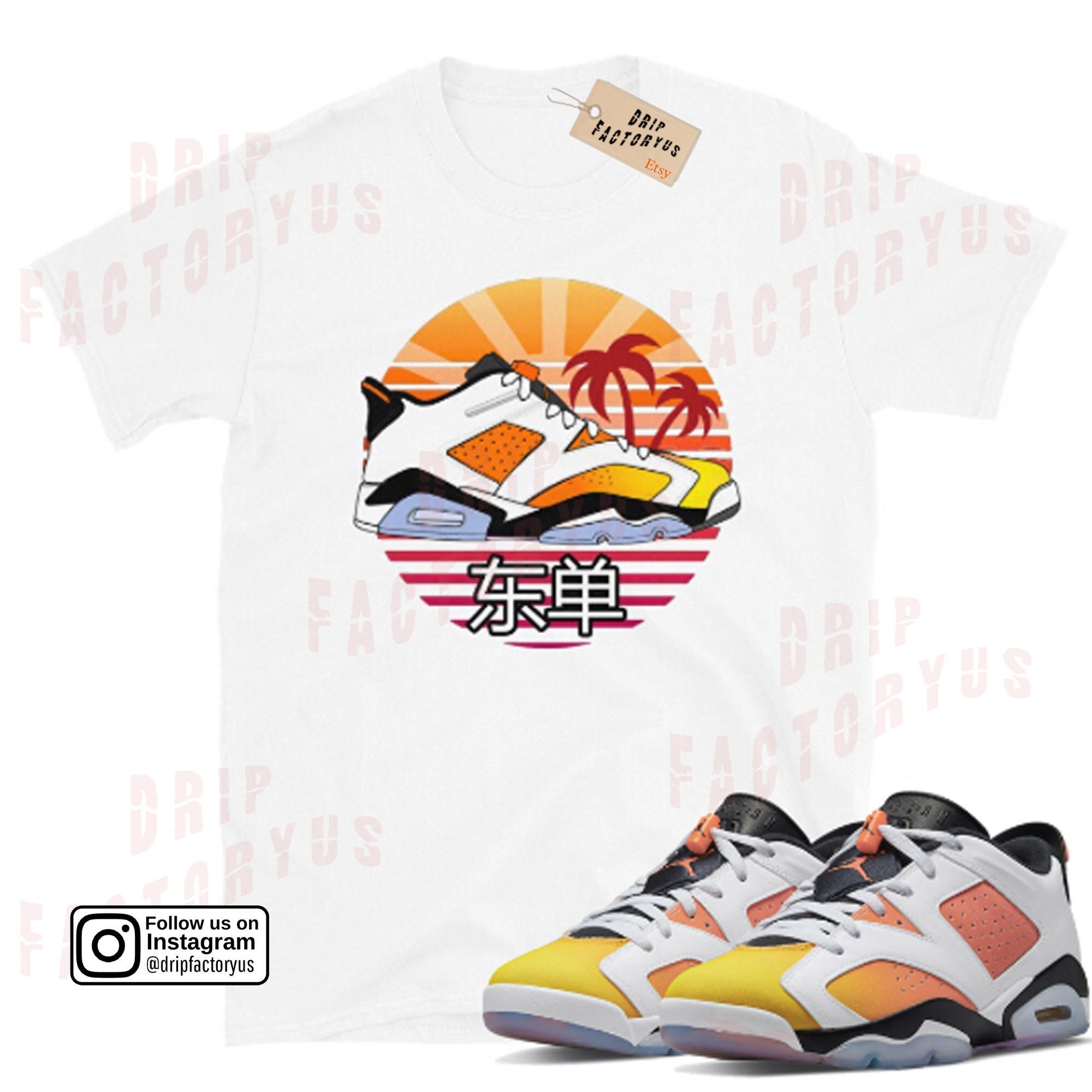 retro 6 low dongdan