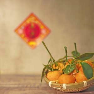 Great Fortune and Great Favor aroma stone diffuser with plate｜大吉大利擴香石｜Hong Kong gift｜Good Luck｜New Year Blessing
