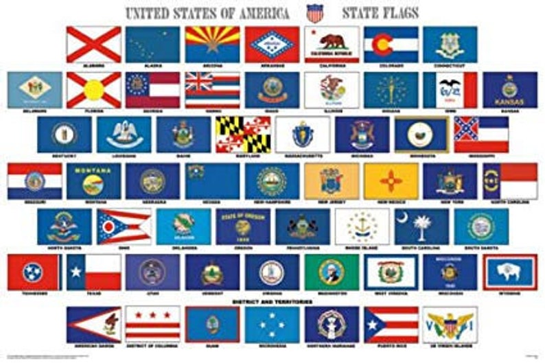 All 50 State Flags USA SVG Digital Files Etsy
