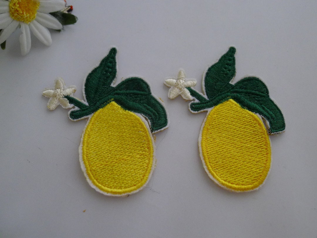 Two Sew-on Embroidered Lemon Fruit Stickers Patch - Etsy