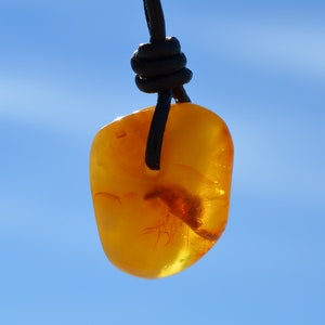 Baltic Amber Amulet Pendant/ Amber Jewelry/ Bernstein Kette /Gift for Men