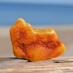 natural raw amber gemstone, Baltic amber piece, crafter's piece of amber, 11.7 grams