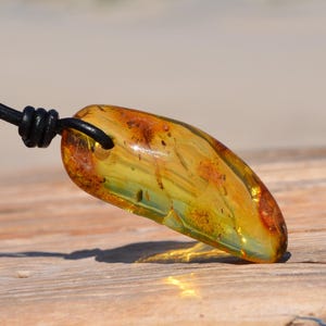 amber pendant, Baltic amber insects, hand polished amber stone, cognac amber, bernstein kette, gift idea for men or women