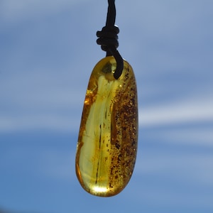 amber pendant, natural Baltic amber stone, lithuanian amber jewelry, gift idea for men or women