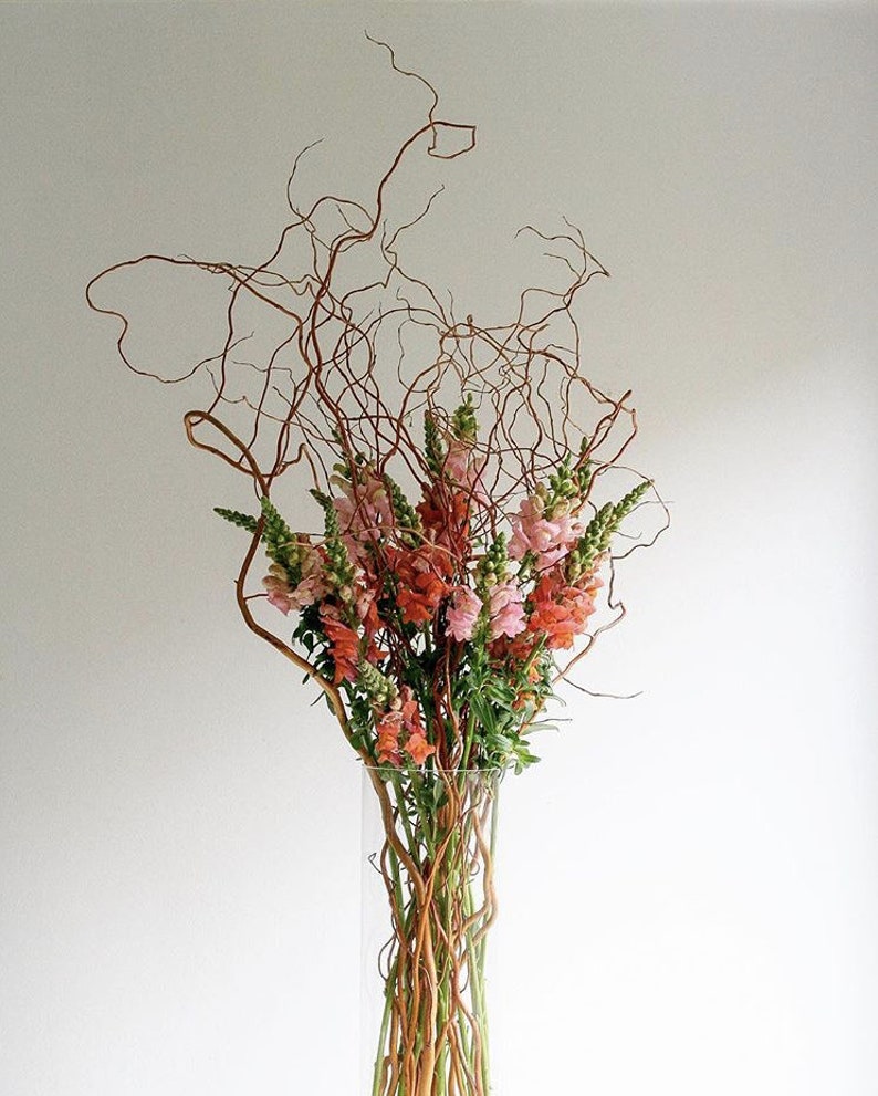 10 STEM 30 LONG Real white curly Willow decor dried Etsy