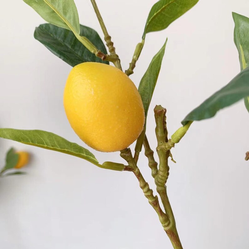 36 Long Artificial Lemon Tree Branches Floral Etsy