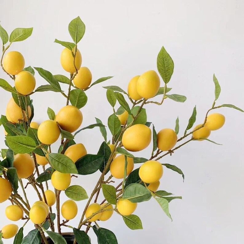 36 Long Artificial Lemon Tree Branches Floral Etsy