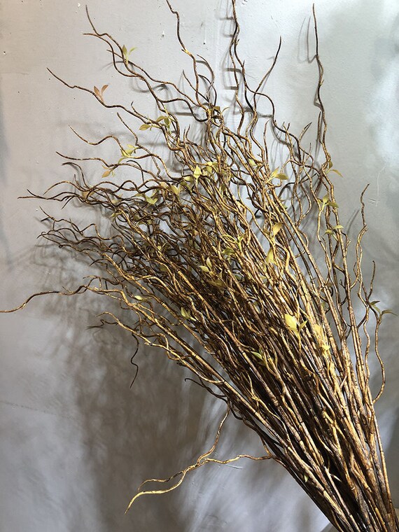 144 Curly Willow Branches, Natural