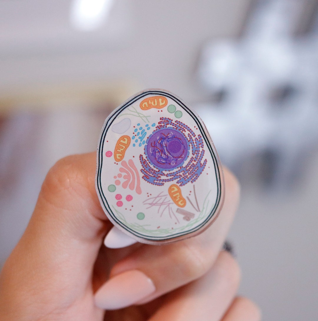 Eukaryotic Cell Acrylic Pin Cell Biology Science Nerd Acrylic Pin ...