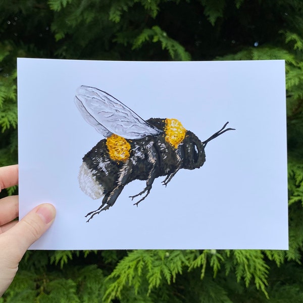 Flying Bumblebee Art Print | Insect Lover, Worker Bee, Pollinator Art, Bee Illustration, Save The Bees | Eco Friendly Gift | Cottagecore