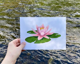 Lily Pads Drawing Etsy Uk