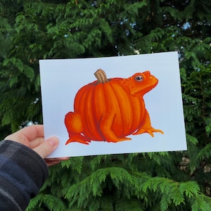 Pumpkin Toad Art Print | Fruit and Vegetable Drawing, Frog Lover Art, Abstract Animal | Eco Friendly Gift | Cottagecore, Goblincore