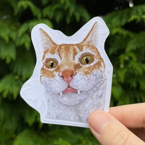 Cursed Cat Meme Sticker | Journalling, Scrapbook Decoration | Cat Lover, Orange Cat | Eco Friendly Gift | Goblincore