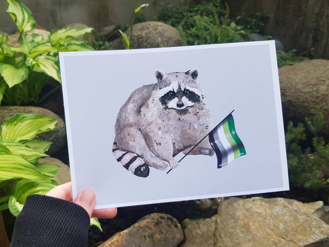 Aromantic Pride Flag Raccoon Art Print Aro Queer Gift Eco - Etsy
