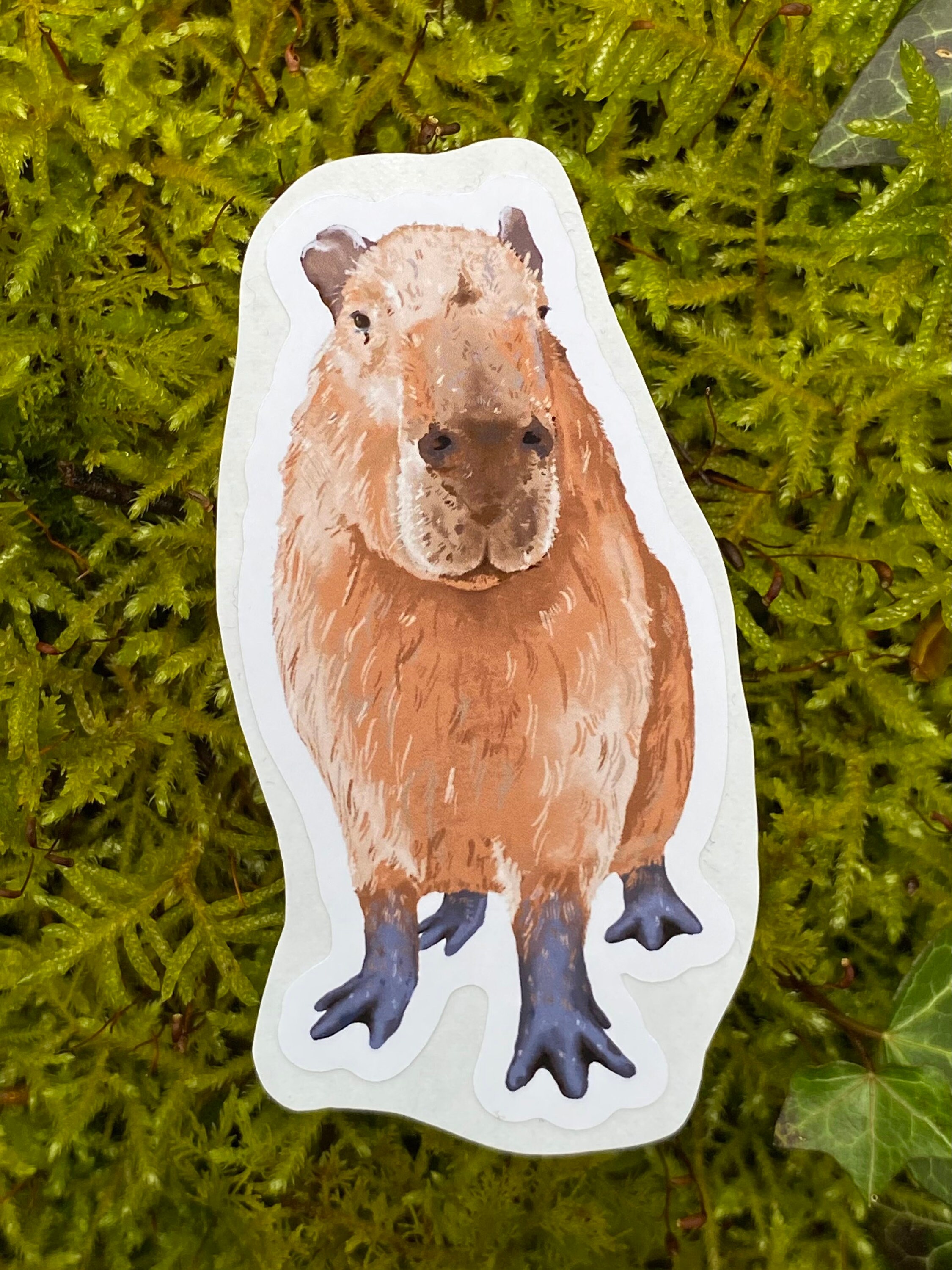 Capybara Sticker Journalling, Scrapbook Decoration, Animal Lover, Pond  Animal L Rodent Art Eco Friendly Gift Cottagecore, Goblincore -  Canada
