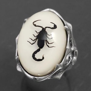 Bimarcha II scorpion for Marilyn Manson