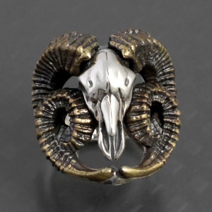 Sheep horn skull ring / SFD-R-147
