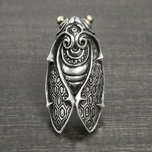 cicada