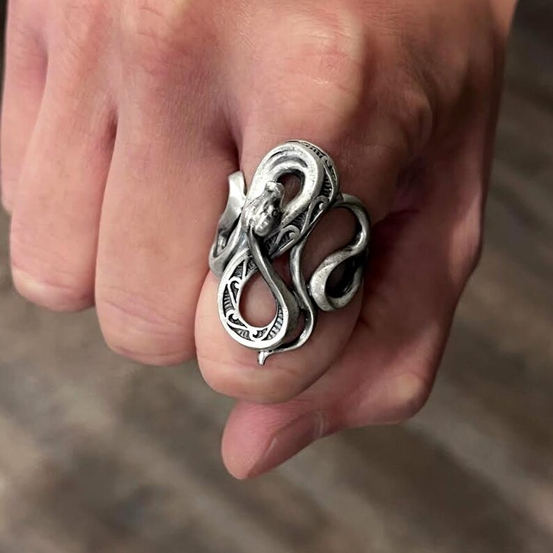 lus aan lus ring afbeelding 14