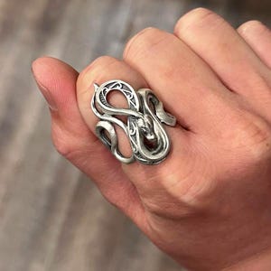 lus aan lus ring afbeelding 13