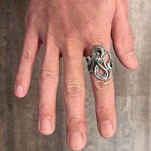 lus aan lus ring afbeelding 15