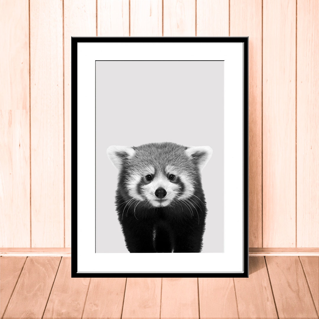 Red panda print black and white nursery animal panda baby Etsy France
