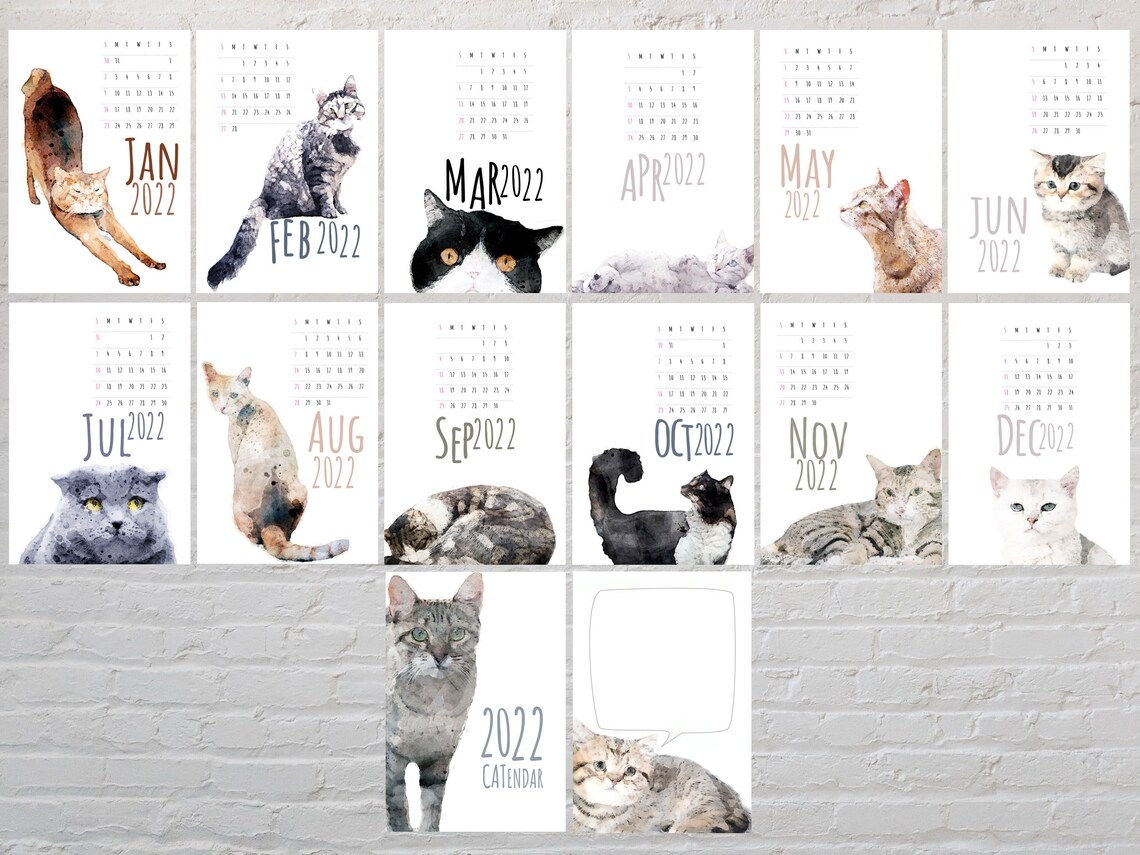 A Quand Le Calendrier Des Chats Nus | My XXX Hot Girl