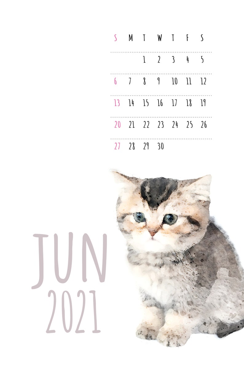2021 Cat Calendar Pet Animal Calendar Table Desk Calendar ...