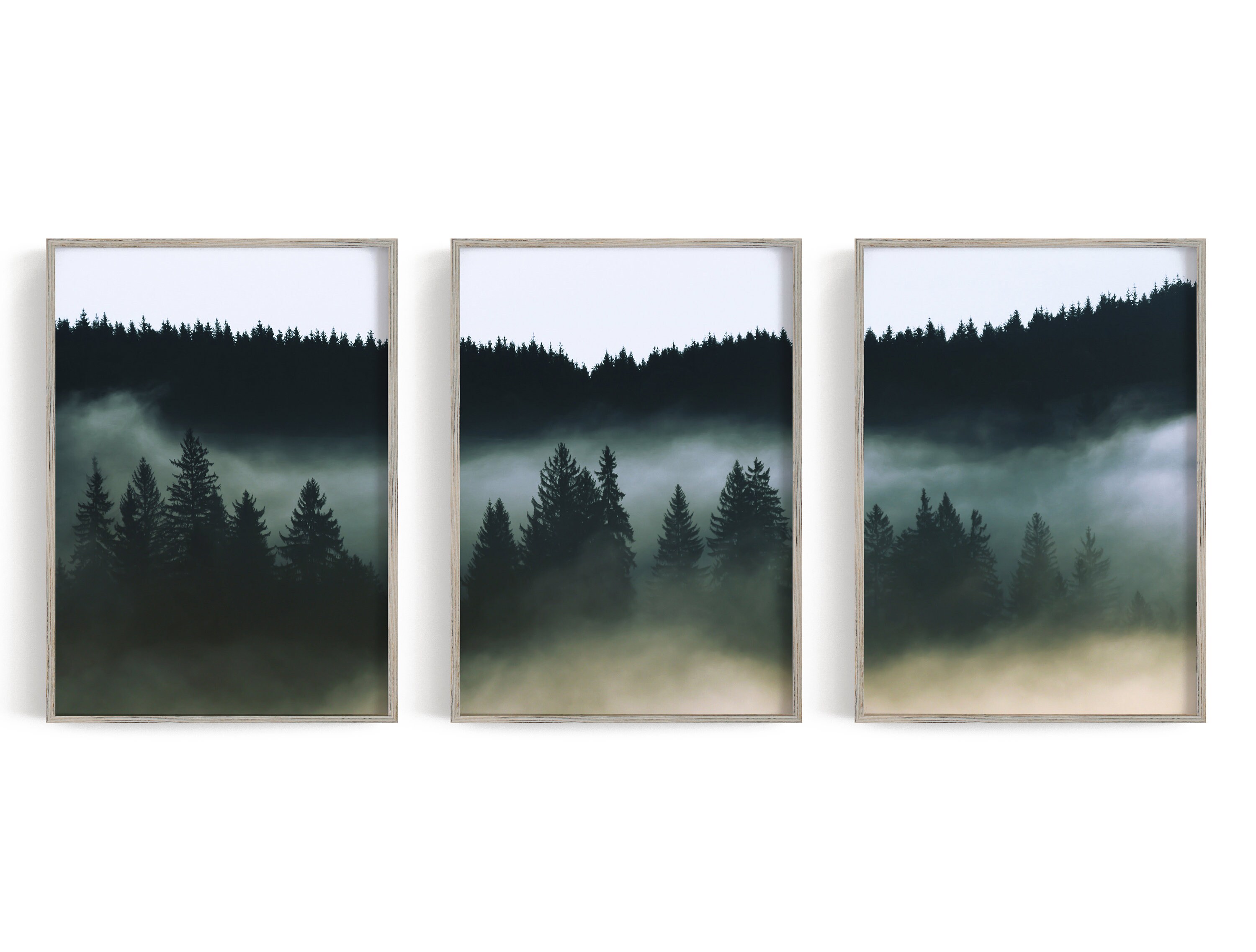Romania Giclee Forest print set of 3 Dark Forest Print Etsy