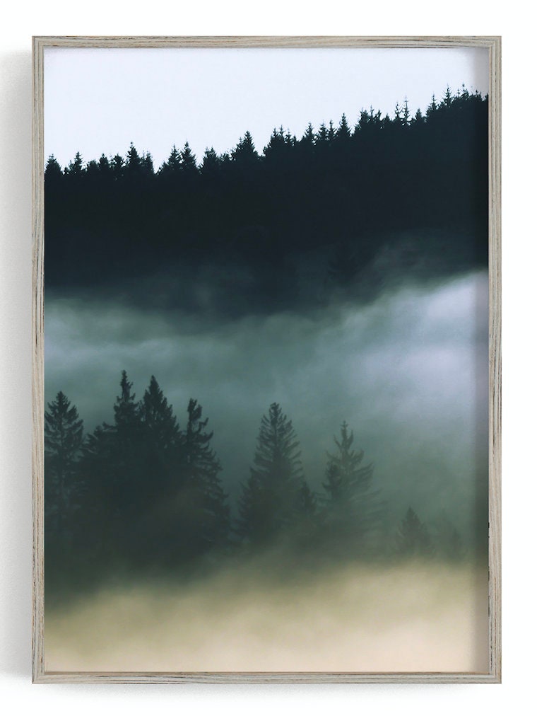 Romania Giclee Forest print set of 3 Dark Forest Print Etsy