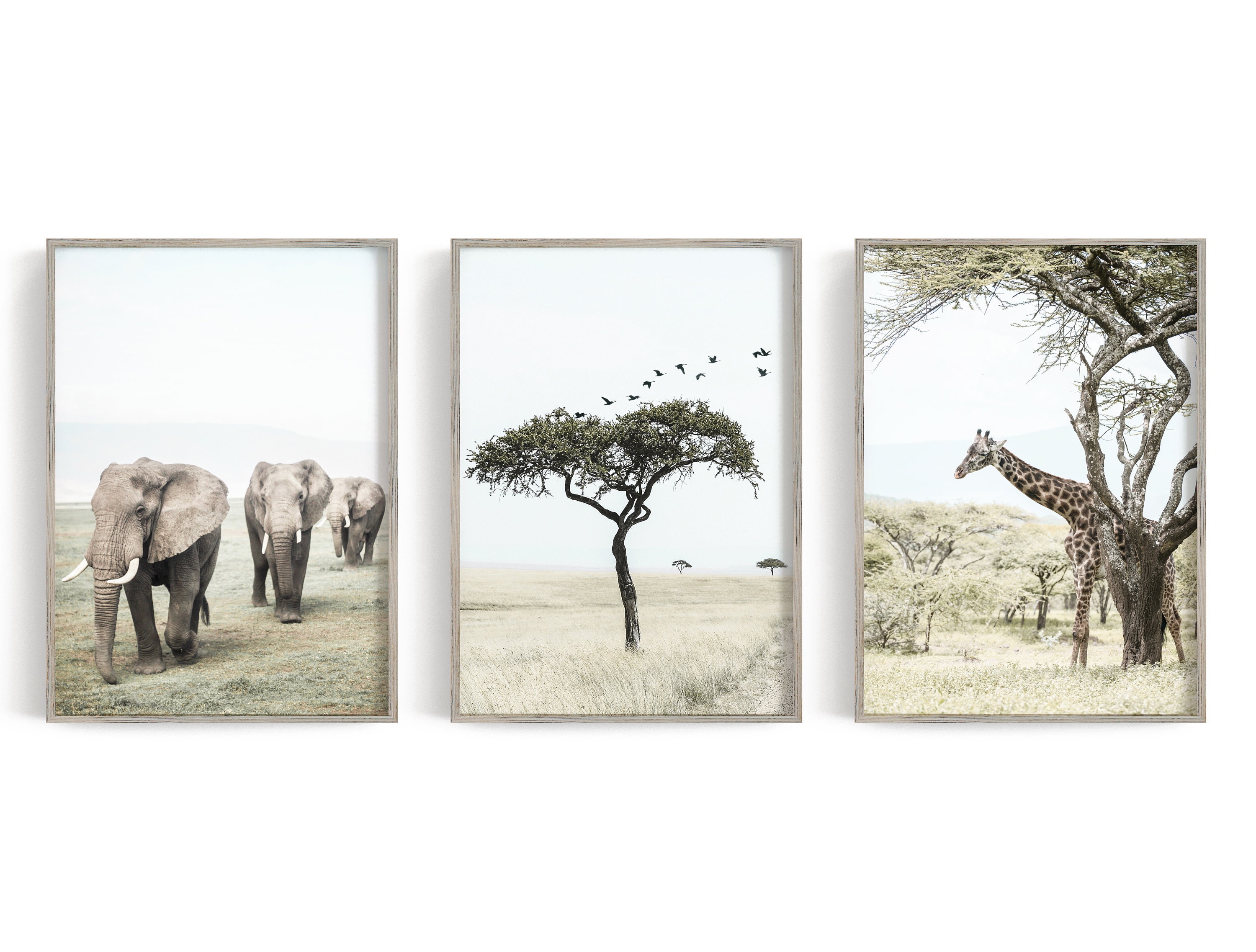 Safari wall decor 3 piece wall art Safari print set Animal Etsy