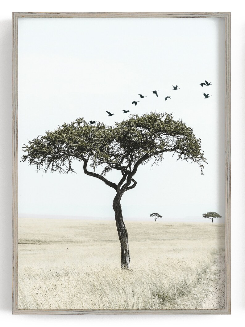 Safari wall decor 3 piece wall art Safari print set Animal Etsy