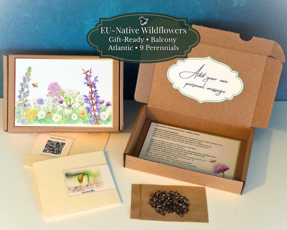 EU Native Wildflowers – Perennial Bee-Friendly Gift Set (9 species) | ±4500 Seeds | Cool & Moist European Climate | Urban Pollinator Patch