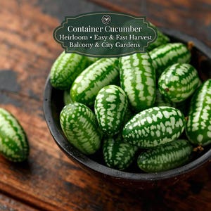 Muismeloen zaden (Melothria scabra) | Cucamelon / Mexican sour gherkin | 100 zaden | Balkon & pot | Klimplant voor trellis | Snelle oogst