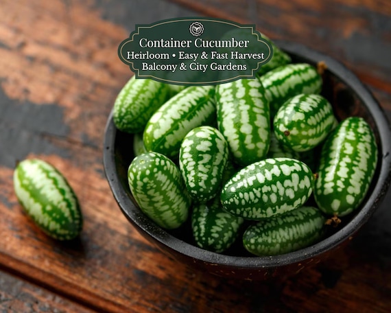 Cucamelon Seeds (Melothria scabra) | Mouse Melon / Mexican Sour Gherkin | 100 Seeds | Balcony & Containers | Trellis Climber | Quick Harvest