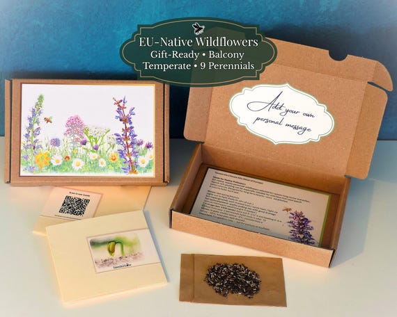 EU Native Wildflowers – Perennial Bee-Friendly Gift Set (9 species) | ±4500 Seeds | Temperate European Climate | Urban Pollinator Patch