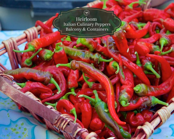 Jimmy Nardello Pepper Seeds – 25 Seeds | Sweet Italian Heirloom | Gourmet Tapas Pepper | Balcony and Pots 15L | Includes QR Grow Guide