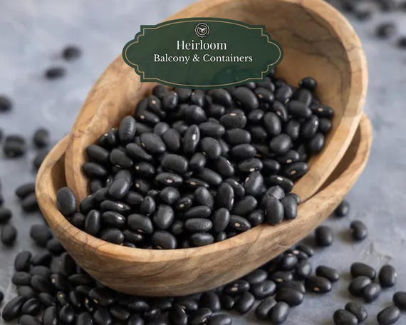 Trail of Tears Bean Seeds – 15 pieces | Cherokee Heirloom | Black Ornamental and Dry Beans | Historical Breed | Includes QR Grow Guide