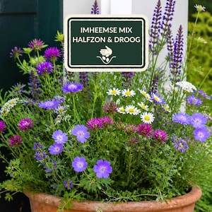 Op de afbeelding: Een terracotta pot gevuld met een verscheidenheid aan paarse, blauwe en witte wilde bloemen. Een rechthoekig bord boven de bloemen bevat de tekst IMHEEMSE MIX HALFZON & DROOG met een afbeelding van een hand die zaden plant in donkergroen.
