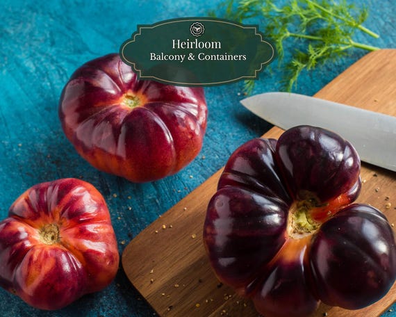 Indigo Blue Tomato Seeds 25 pcs | Heritage Variety | Heirloom Tomato | Smoky & Rich Flavor | Balcony 15L Pots | Includes QR Grow Guide