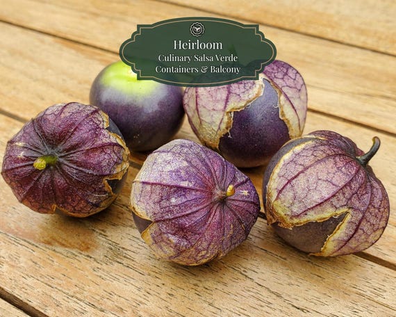 Tomatillo (Purple) seeds 50 pcs | Physalis ixocarpa | Salsa Verde | Heritage variety | Balcony 15L Pots | Including QR Grow Guide
