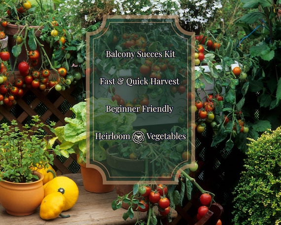 Balcony Success Kit – 9 Vegetable Varieties for Pots | Fast Harvest | Lettuce • Onion • Bean • Tomato • Pepper • Cucamelon | Growing Guide