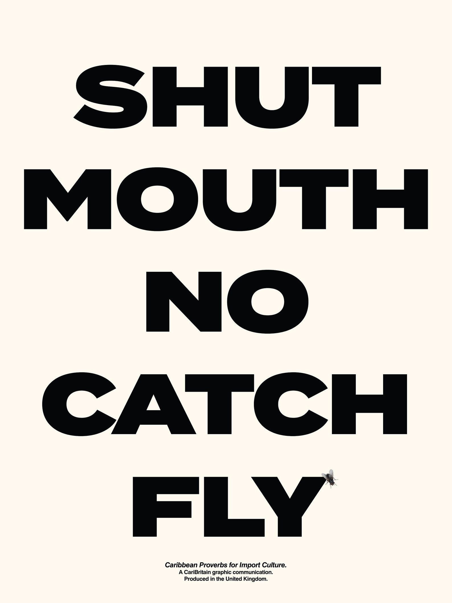 Shut Mouth No Catch Fly Caribbean Proverb Funny Poster Print | Etsy