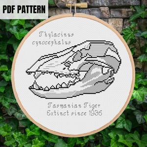 May include: A cross-stitch pattern of a Tasmanian Tiger skull, with the text "Thylacinus cynocephalus" and "Tasmanian Tiger Extinct since 1936." The design is in black and white, set in a wooden embroidery hoop. The words "PDF PATTERN" are at the top.