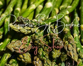 Digital Download Photo Stack Nature Photography, 8x8in, 24 Green Plants Vegetables & Fruits