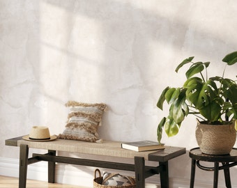 Può includere: Una panca in legno scuro con un cuscino di seduta intrecciato e un cuscino beige. Un cappello di paglia è posto sulla panca. Una pianta in vaso con grandi foglie verdi è posizionata su un supporto in metallo nero accanto alla panca.