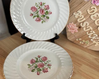 Platos llanos vintage Royal Wessex Swinnertons Ironstone: diseño de rosas, juego de 2