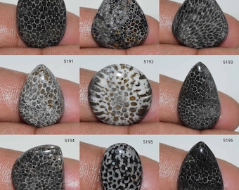Beautiful Designer Black Fossil Coral Cabochon, Natural Fossil Coral Gemstone, Black Fossil Coral, Fossil Coral Jewelry, Loose Fossil Coral,