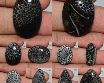 Exclusieve ontwerper zwart fossiel koraal cabochon, natuurlijke fossiele koraal edelsteen, zwart fossiel koraal, fossiele koraal sieraden, losse fossiele koraal,