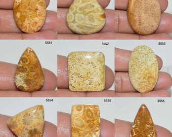 Awesome Natural Fossil Coral Gemstone, Fossil Coral Cabochon, Fossil Coral Jewelry, Fossil Coral, Multi Jewelry Making Fossil Coral Stone,